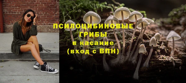 винт Белокуриха