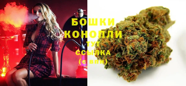 винт Белокуриха